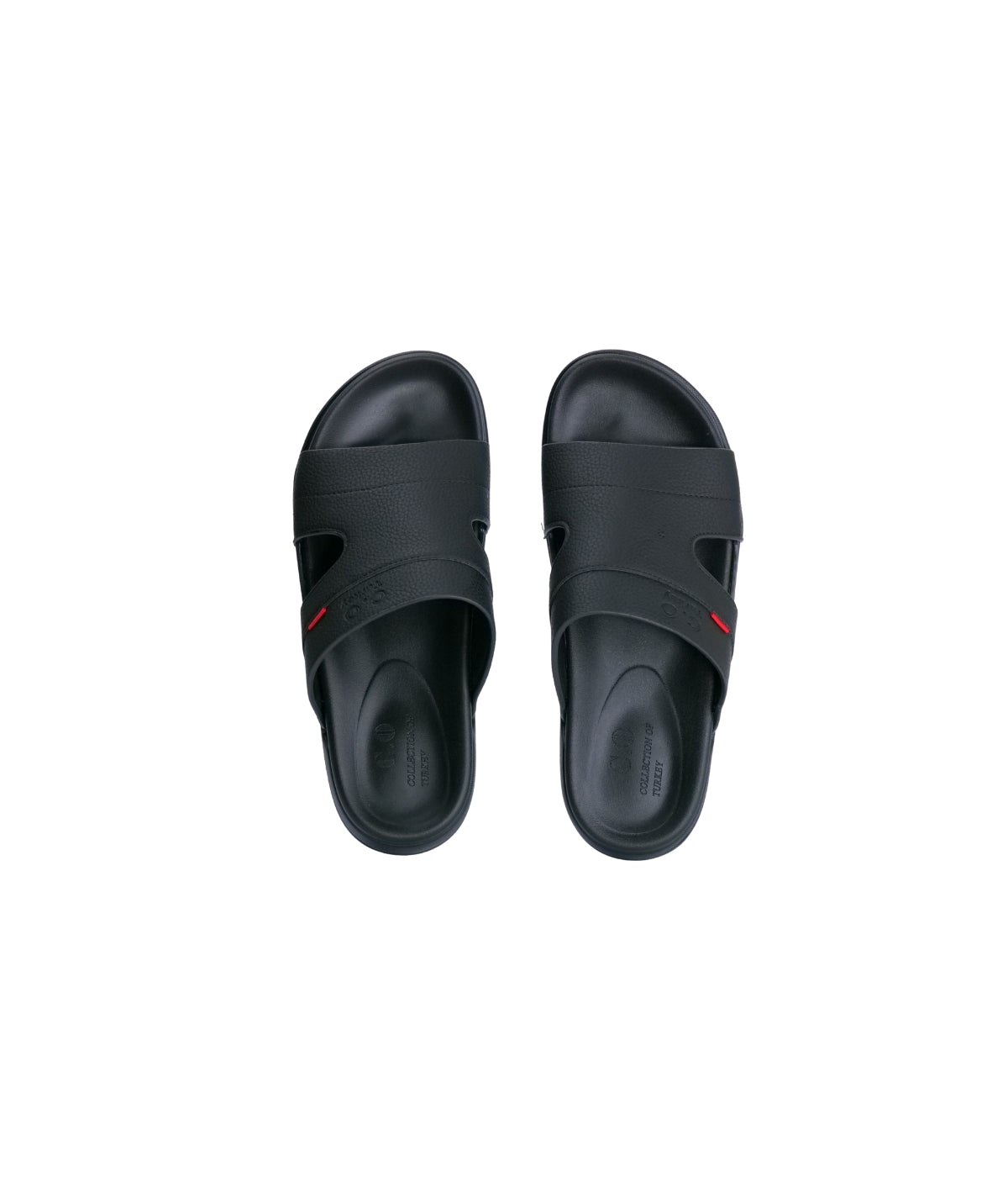 Collection of turkey